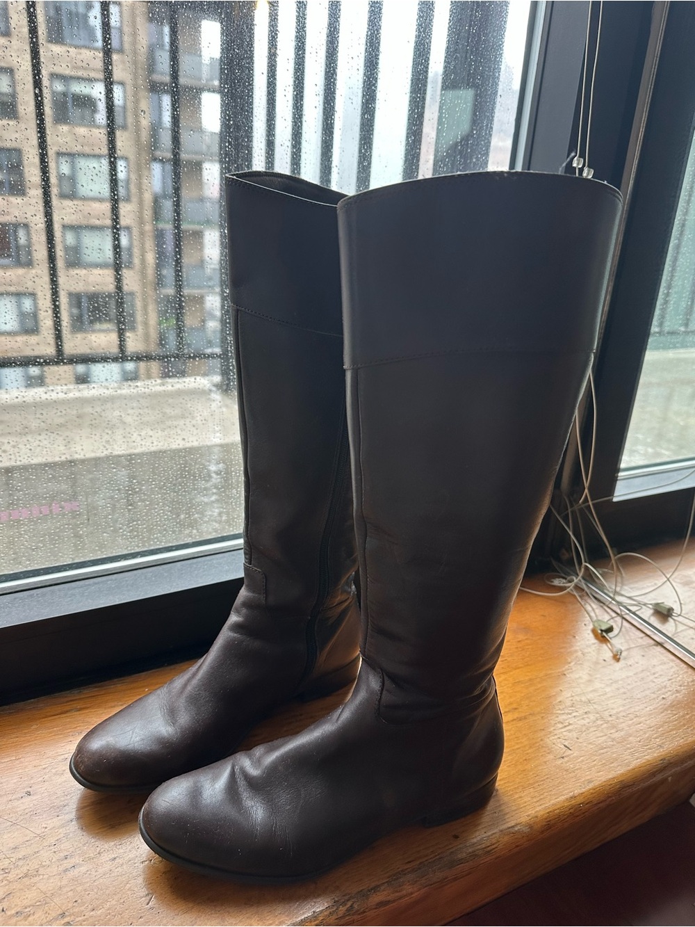 Classic Tall Women's Boots in Dark Brown